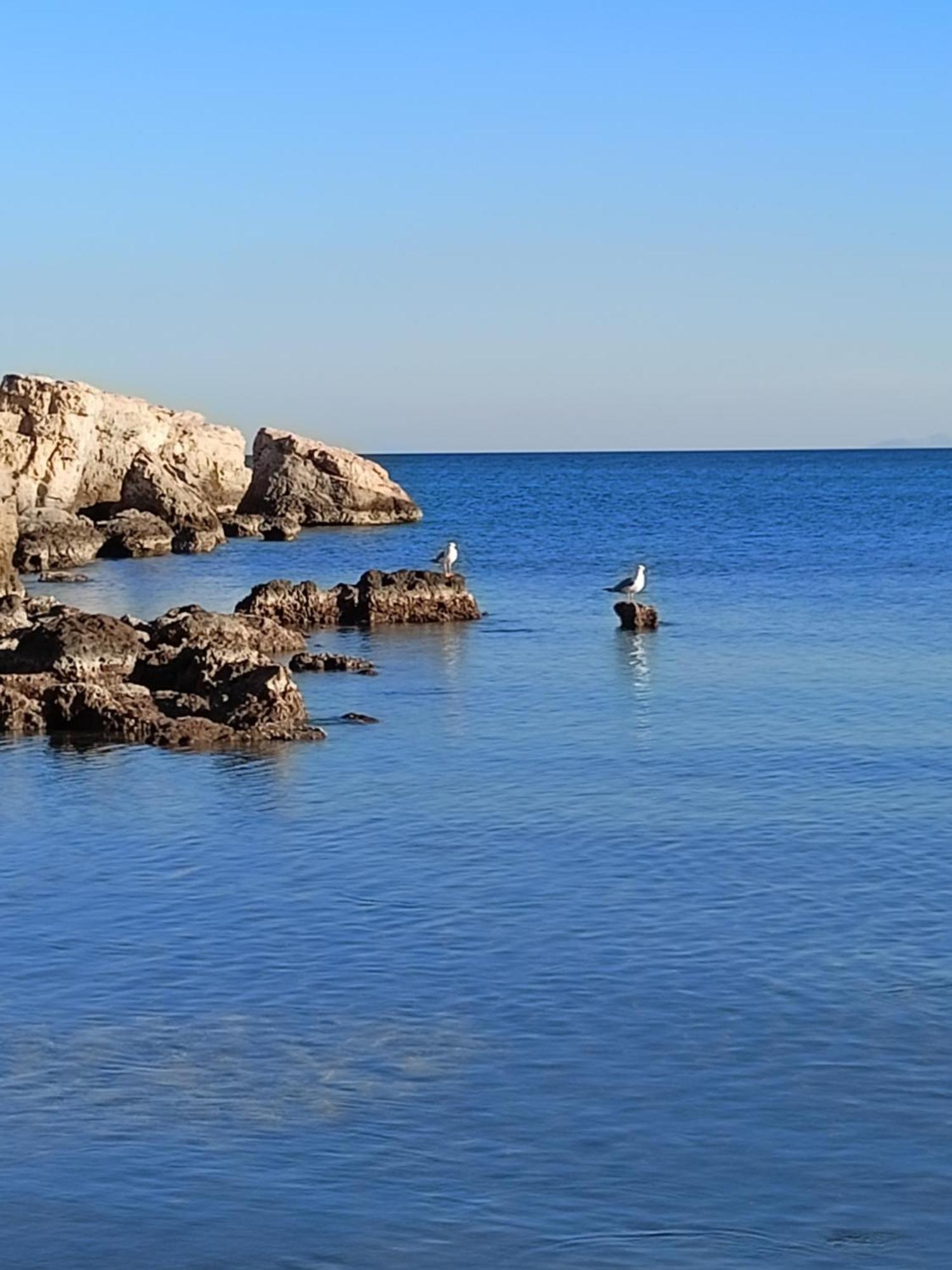 Finikas Rooms Agia Marina  Buitenkant foto
